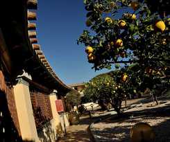Hotel Fiore Di Maggio