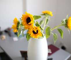  Affittacamere Nonna Laura