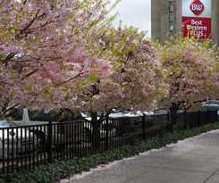 Best Western Plus City Center