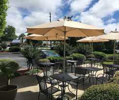 Hotel Coastal Inn and Suites - Wilmington, Nc