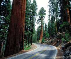 Hotel Holiday Inn Express and Suites Fresno South, An Ihg