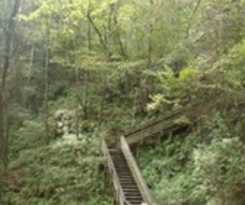 Hotel Holiday Inn Gainesville - University Center, An Ihg