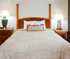 Hotel Staybridge Suites Raleigh Durham Airport, An Ihg
