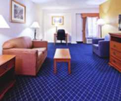 Hotel Holiday Inn Express & Suites Nashville-I-40&I-24(Spence Ln)