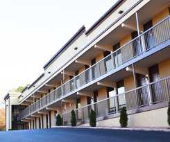 Hotel Super 8 By Wyndham Raleigh Downtown