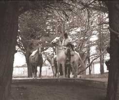 Hotel Estancia Rio De Los Ciervos