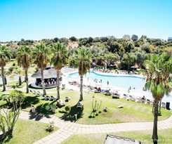 The Navigator- Palm Oasis Alvor