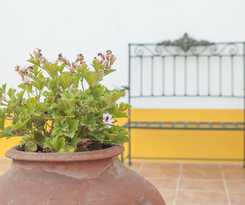  Agro-turismo Do Roxo