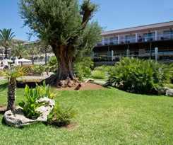 Beach Club Font de Sa Cala