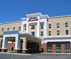 Hotel Hampton Inn and Suites Effingham