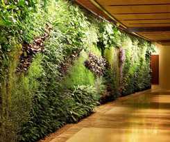 Sofitel Dubai The Palm Luxury Apartments