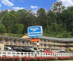 Hotel Wild Bear Inn