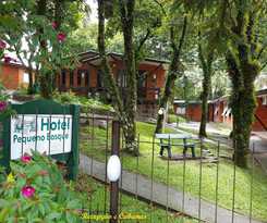 Pequeno Bosque