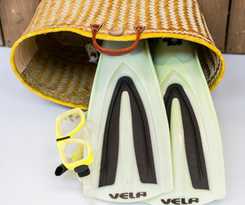 Hotel Aruba Palms Escape Suites