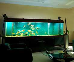 Tanzanite Executive Suites