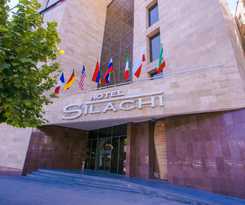 Hotel Ani Central Inn