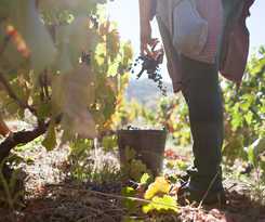Hotel Rural Quinta Do Silval