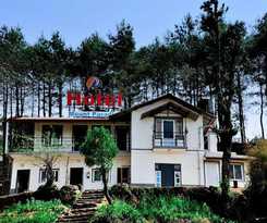 Hotel Mount Paradise
