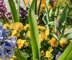 Hotel Premiere Classe Besancon - Ecole Valentin