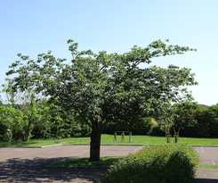 Premiere Classe Troyes Sud - Bucheres