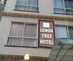 Hotel Lemon Tree