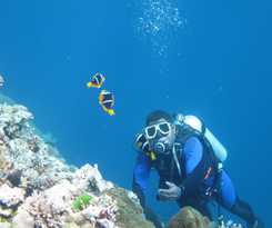 Hotel Mai Dive Astrolabe Reef Resort