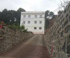 DEL PINO