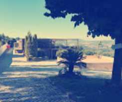  Quinta D. Jos&eacute;, Jovim