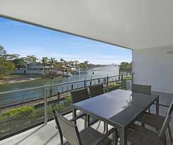 Jacaranda Noosa