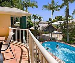 Noosa River Palms