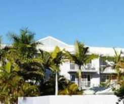 Champelli Palms