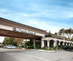 Hotel Best Western Plus Black Oak