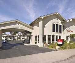 Hotel Olive Tree Inn and Suites