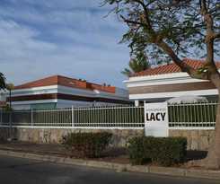 Lacy