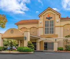 Comfort Inn Cordelia
