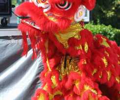 Hotel Country Inn & Suites by Radisson, Clarksville, TN