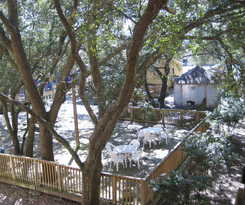 Sea Mist Oceanfront Resort