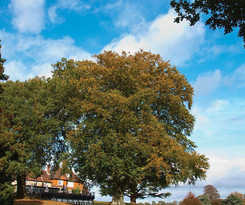 Champneys Forest Mere