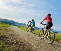 Best Western Aparthotel Birnbachhoehe