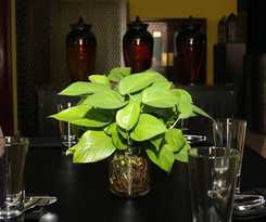 Midan Suites