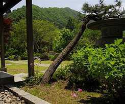 Hotel Matsunoi