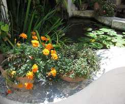 Hostel Ostello Ave Gratia Plena -