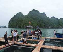 Hotel Gray Line Halong Cruise