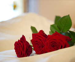 Hotel Vital and Familienhotel Angerwirt