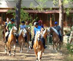 Hotel Padok Premium and Stables