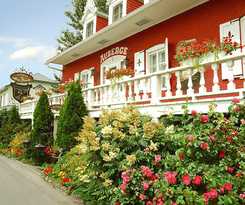 Hotel Auberge Du Mange Grenouille