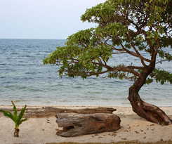 Hotel Trikora Beach Club and Resort