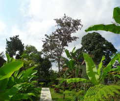 Hotel Senetan Villas and Spa Resort