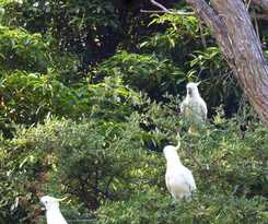 Hotel Coachman's Eden