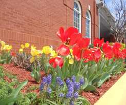 Hotel Best Western Fredericksburg
